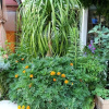 Отель B&B IreneMarchese - Gluten Free, фото 12