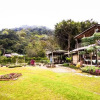 Отель Taiwan Reishi Expert Bed and Breakfast, фото 10