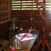 Отель Wild Woods Spa & Resort, фото 8
