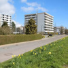 Отель IFA Haus 2, Whg 2204, фото 1