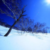 Отель Yuzawa Ski House, фото 21