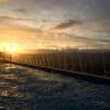 Отель Serenity Farm And Resort Busay, фото 22