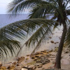 Отель La Bella Beach House Cebu, фото 7