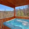 Отель Smoky Mountain Serenity Apartment 3, фото 13