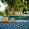 Отель Makakatana Bay Lodge, фото 40