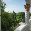 Отель Palm palace at Rockville, фото 9