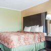 Отель Rodeway Inn & Suites, фото 1