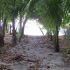 Отель Kachá Beach Club, фото 14