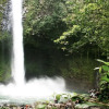 Отель Arenal Country Inn, фото 11