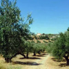 Отель Contaratos Holiday Lettings 2, фото 10