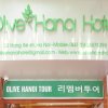 Отель Olive Hanoi Hotel, фото 11