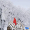 Отель Wusongdaosongyingmanzuzhuangjiayuan, фото 10