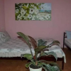 Отель Aparthotel Flora, фото 14