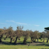 Отель Fantastic Villa With Private Pool - Luxury Holidays on Private Island Albarella, фото 21