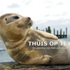 Отель Thuis op Texel, фото 8