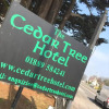 Отель Cedar Tree Hotel, фото 14