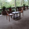 Отель Orchard Homestay, фото 1