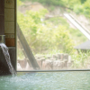 Отель Noji Onsen Hotel, фото 16