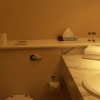 Отель Celtic Ross Hotel & Leisure Centre, фото 8
