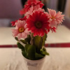 Отель Empress Palace Hotel, фото 16