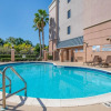 Отель Fairfield Inn & Suites Holiday Tarpon Springs, фото 13