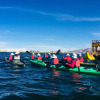 Отель Paisajes del Titicaca Lodge, фото 15