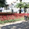 Отель Oporto Invite São Lázaro Charming, фото 16