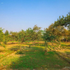 Отель Master Farms Resort, Zirakpur, фото 27