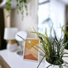 Отель Cofy Rentals Tallinn, фото 13