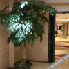 Отель Jishou Wujing Hotel, фото 4