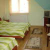 Отель Pensiunea Nemes Panzio, фото 2