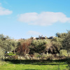 Отель La Corte Degli Ulivi, фото 7