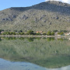 Отель Villa Alcudia 075, фото 1