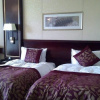 Отель Qingyuan Hengda Hotel, фото 3