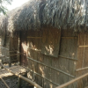 Отель Dan Sinh Homestay, фото 46