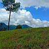 Отель JMT Eco-Binsar by StayApart, фото 16
