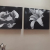 Отель Bellevue Manor Guest House, фото 2
