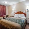 Отель Econo Lodge Brownsville, фото 4