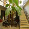 Гостиница Afalina Guest House, фото 13