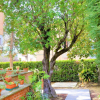 Отель We Tuscany - La Casa di Agnese, фото 22