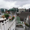 Отель Best location Stunning Bed and Breakfast, фото 13