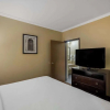 Отель Comfort Inn North, фото 7