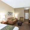 Отель Comfort Suites, фото 24