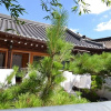 Отель Jeonju Blue Cradle Hanok Pension, фото 3