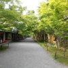 Отель Guest House Ichijoji 1, фото 19