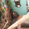 Отель Monpai Resort, фото 11