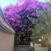 Отель B&B La Bougainvillea, фото 7