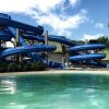 Отель Hyatt Ziva Riviera Cancun - All Inclusive, фото 13