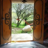 Отель Turan Handmade Yurt with Heated Floors, фото 1