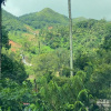 Отель Croods Cottage Wayanad by Lexstays, фото 13